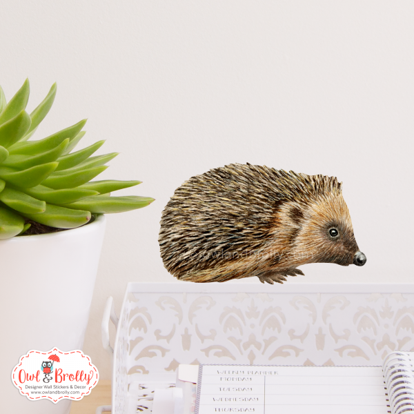 Watercolour Hedgehog Wall Sticker (Smaller Spaces collection)