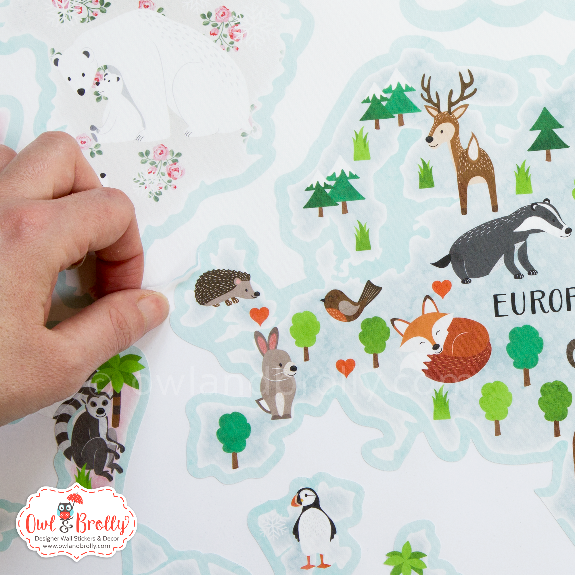 Animal World Map Wall Sticker in Vintage Shabby Floral Colours - Image 3