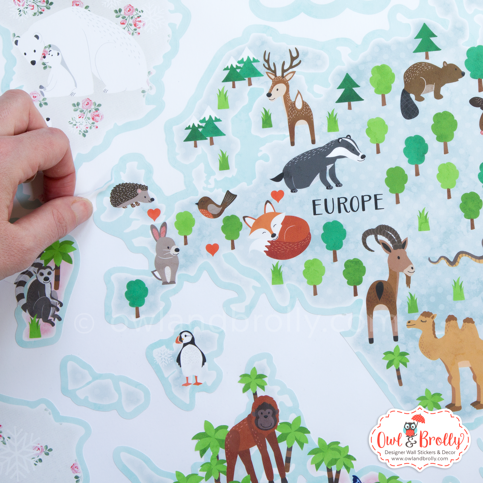 Animal World Map Wall Sticker in Vintage Shabby Floral Colours - Image 4