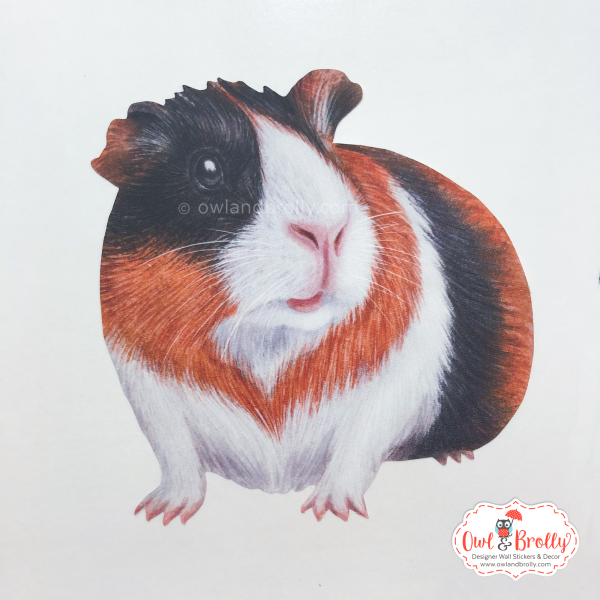 Watercolour Guinea Pig Wall Sticker (Smaller Spaces collection) - Image 3