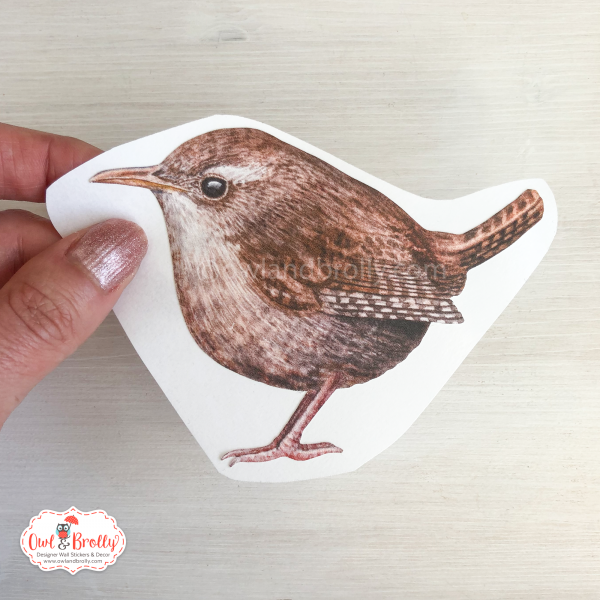 Watercolour Wren Wall Sticker Decal (Smaller Spaces collection)