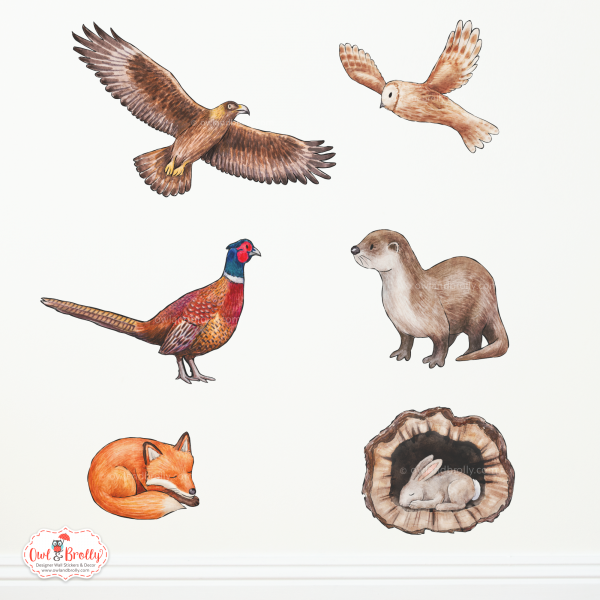 Shown as a collective as a size comparison next to each other