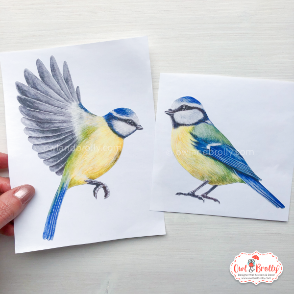Watercolour Bluetits Wall Sticker Decals (Smaller Spaces collection)