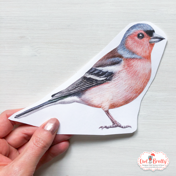 Watercolour Chaffinch Wall Sticker (Smaller Spaces collection) - Image 2