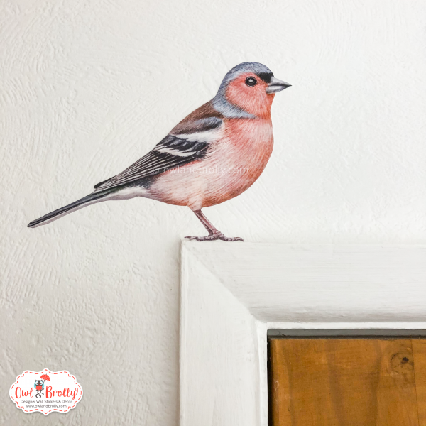 Watercolour Chaffinch Wall Sticker (Smaller Spaces collection)