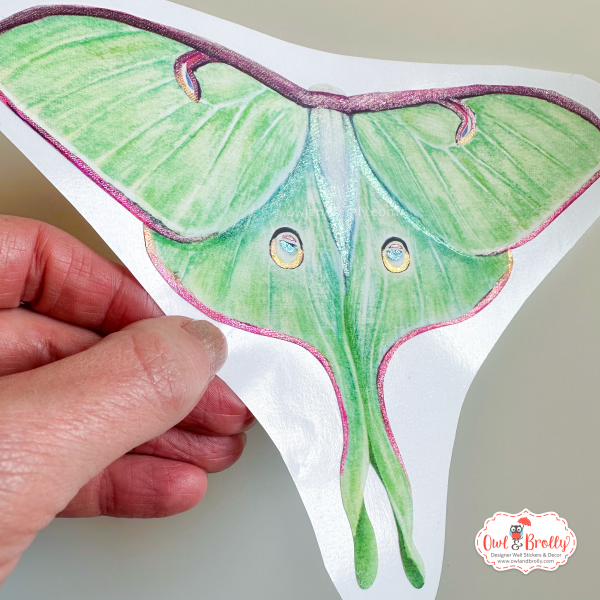 Watercolour Luna Moth Wall Sticker (Single Lime Green With Shimmer Accents) - Image 2